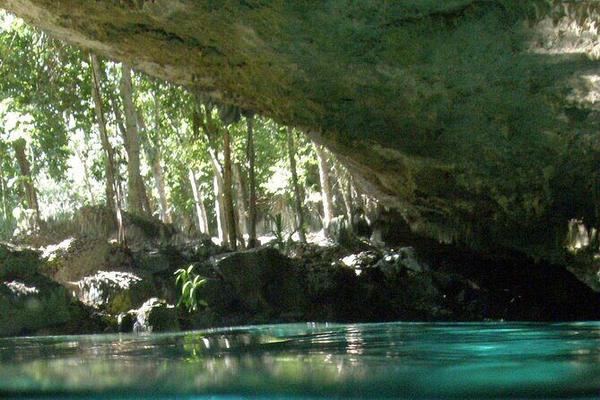Discovering Breathtaking Cenotes in Tulum - Food and Timing: Sandwich, Snacks, Drinks, and Half-Day Flow