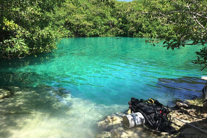 Discovering Breathtaking Cenotes in Tulum - When to Go: Afternoon Can Mean Less Crowding