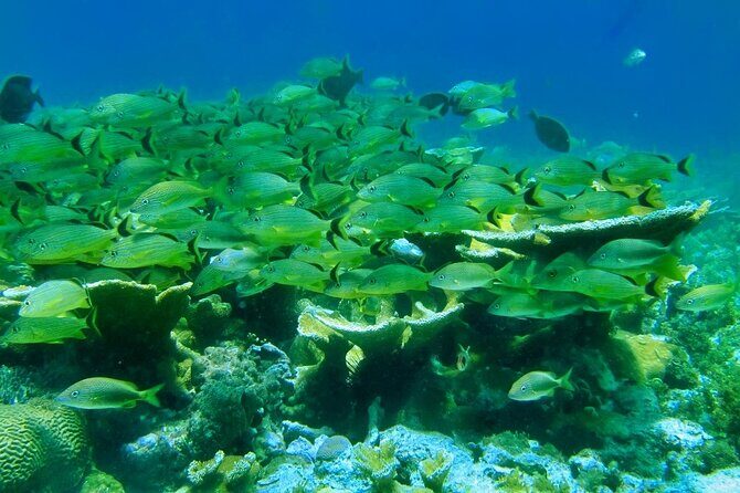 Discovering Isla Mujeres on a Double Decker Catamaran - Cruise Time Through Nichupe Lagoon Channels (and Why It’s Not Just Transport)