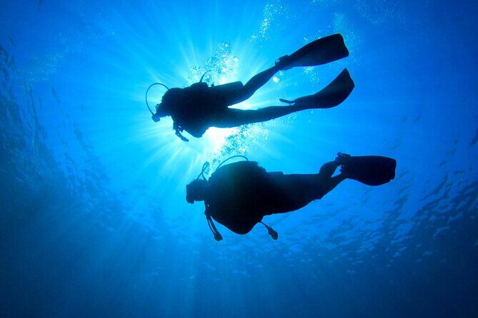 Discovery Scuba Dive. - The real timeline in Costa Maya: about 3 hours from shop to reef