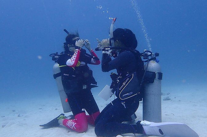 Discovery Scuba Dive. - Who should book this first-timer scuba experience?