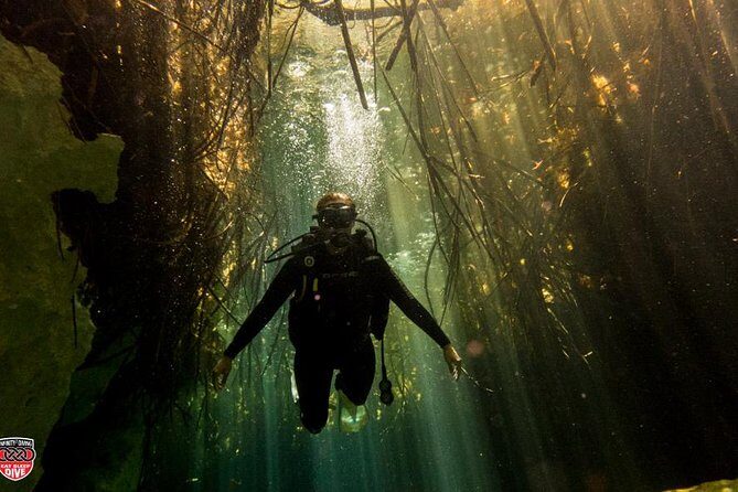 Discovery Scuba Diving !! - On the reef: what your actual job is (and it’s not complicated)