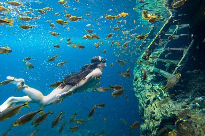 Dive into Tulum: Tour 3 Cenotes, from Riviera Maya - Sombra Cenote: the underground mystery that turns the day darker