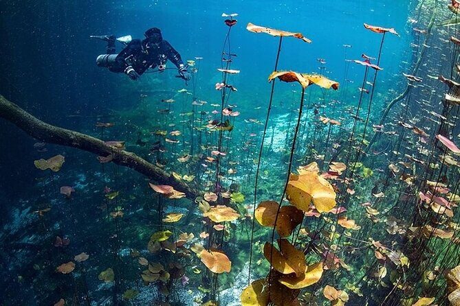 Dive into Tulum: Tour 3 Cenotes, from Riviera Maya - Guide quality: why el chino and Sara can make or break the day