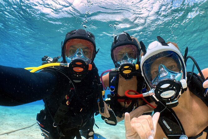 Diving For People Without Experience - Where you start: Sand Dollar Sports on Cozumel’s main road