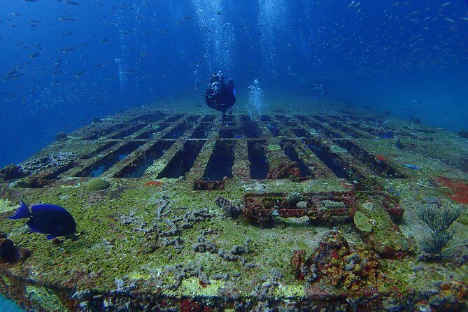 Diving in Cancun for Certified Divers | 2 Dives | All Inclusive - The 9:00 am Day Flow (And Why It Feels Straightforward)