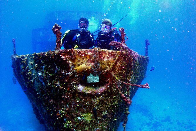 Diving in Cancun for Certified Divers | 2 Dives | All Inclusive - Spotting Big Marine Life: The Best Way to Improve Your Odds
