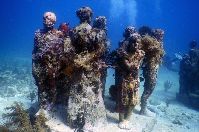 Diving in Cancun Underwater Museum of Art - Small Group Coaching: Why the Guide Team Changes Everything