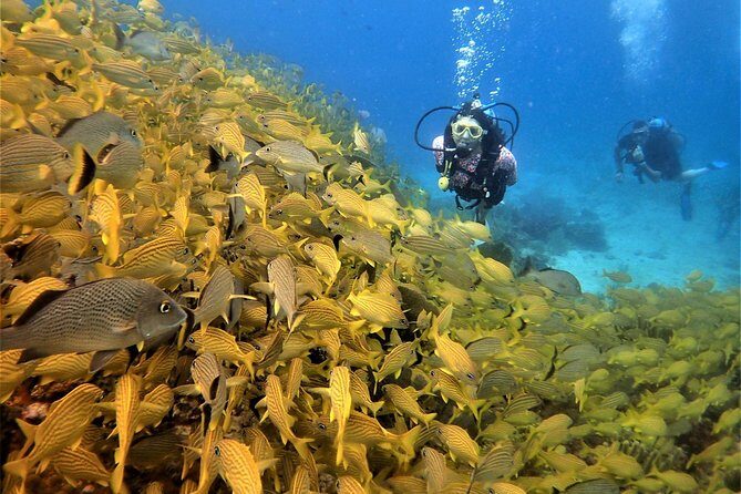 Diving in Cancun Underwater Museum of Art - Who This Tour Fits Best