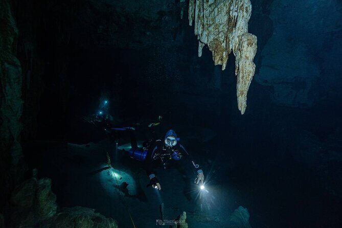 Diving in Cenotes: discovering the Mayan Underworld - Should you book this Cenotes scuba experience?
