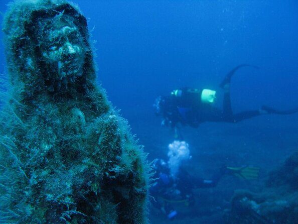 Diving + Muse - Key Points to Know Before You Go