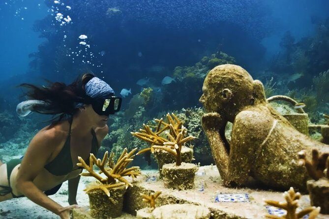Diving + Muse - Scuba Gear, Timing, and the Reality of a 7.5-Hour Day