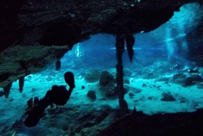 Dos Ojos Cenote Cavern Dive- The Barbie Line and The Bat Cave - Meeting in Tulum: the simple start point you can actually find