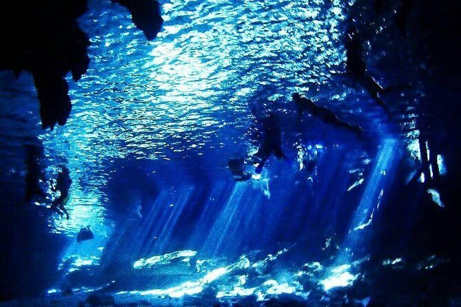 Dos Ojos Cenote Cavern Dive- The Barbie Line and The Bat Cave - Barbie Line: what you should expect in the first 45 minutes