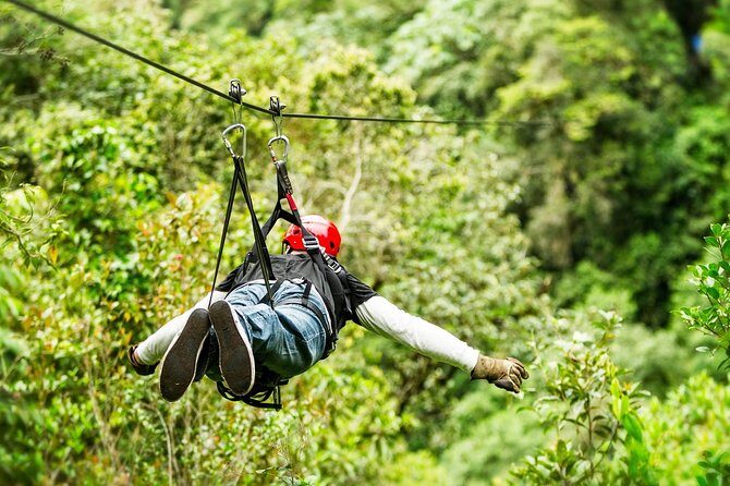 Drive An Atv, Live The Experience Of Ziplining And Swim On A Real Cenote - Small Group, Certified Guide, and the Stuff That Makes the Day Feel Smooth