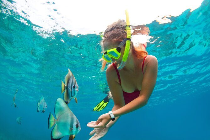 Drive an Speedboat + Mayan Ritual + Food Tasting and More! - Best fit: who will enjoy this most