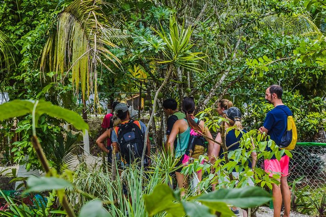 E-Bike Adventure in Cozumel - West Side Ride N' Snorkel - Beach club time: lockers, bathrooms, and how to use the 1.5 hours