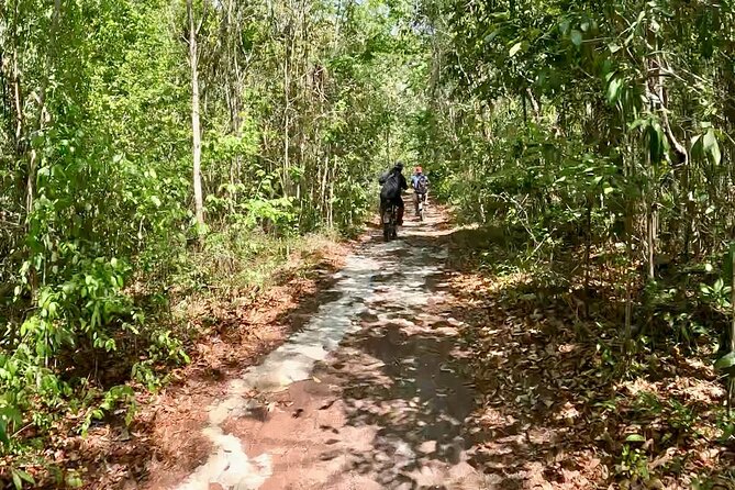 E-bike cenote jungle city tour in Playa del Carmen - Who This Tour Fits Best (and Who Should Skip It)