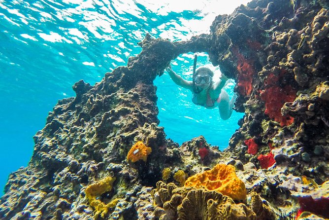 E-bike West Coast Snorkeling Tour - Why This Cozumel E-Bike Snorkeling Combo Works