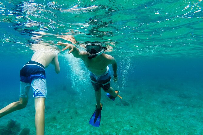 E-bike West Coast Snorkeling Tour - Stop 2: Skyreef Beach Club Cozumel Snorkeling Plus Time to Breathe
