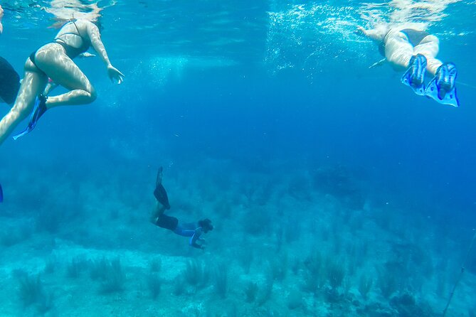 E-bike West Coast Snorkeling Tour - The Best Way to Enjoy the Route in This 4-Hour Format