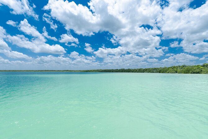 Eco Adventure At 3 Cenotes & 1 Lagoon ! From Cancun & Riviera - Price and Value: Why $142 Can Be a Good Deal