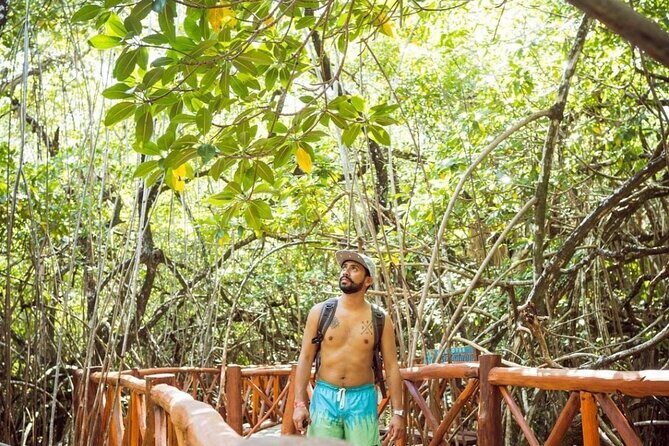 Eco Adventure Cenotes Casa Tortuga!+ Tulum Ruins From Cancun & Playa Del Carmen - Casa Tortuga Cenotes: Four Stops and Real Swim Time