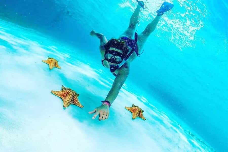El Cielo and El Cielito in Cozumel with Beach Club, Food, and Open Bar - Key things I’d circle before you book