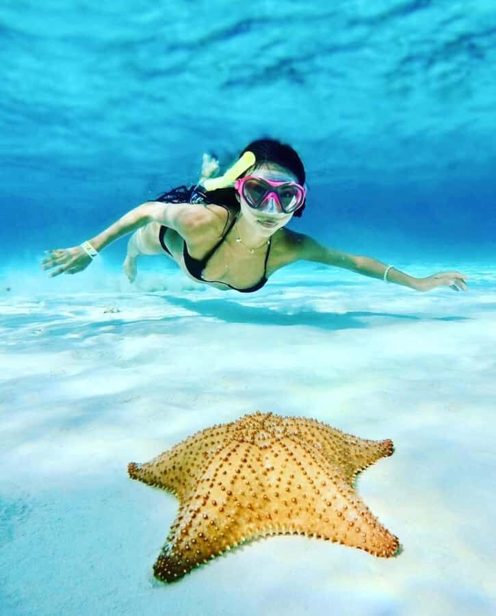 El Cielo and El Cielito in Cozumel with Beach Club, Food, and Open Bar - A Cozumel catamaran day that balances reef time and beach time