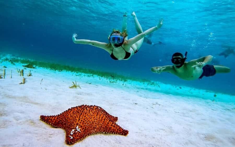El Cielo and El Cielito in Cozumel with Beach Club, Food, and Open Bar - Palancar Reef snorkeling (about 40 minutes): color, coral, and limited time