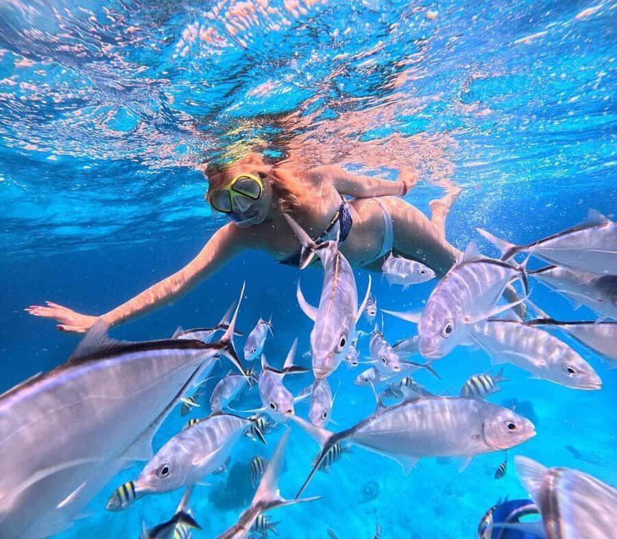 El Cielo and El Cielito in Cozumel with Beach Club, Food, and Open Bar - El Cielo (about 30 minutes): starfish photos and shallow-water magic