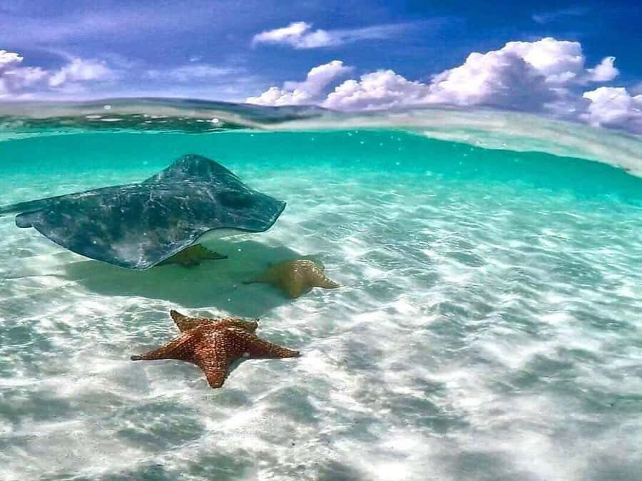 El Cielo and El Cielito in Cozumel with Beach Club, Food, and Open Bar - Price check: is $180 per person a good deal?