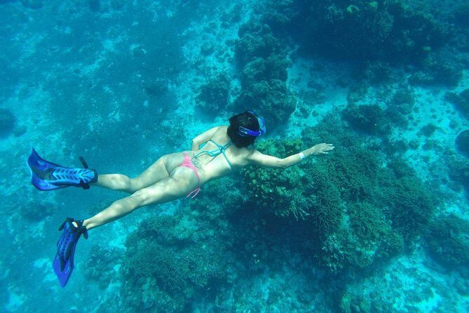 El Cielo and Snorkel Private Excursion - Palancar Reef stop: asking the captain is part of the experience