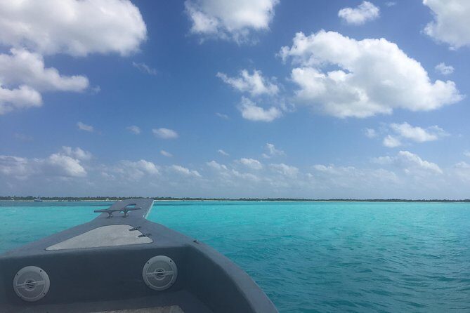 El Cielo and Snorkel Private Excursion - Crew quality: what the best guides do for your snorkel day