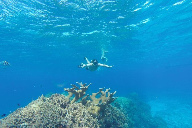 El Cielo and Snorkel Private Excursion - Who this tour fits (and who should think twice)