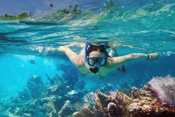 El cielo Cozumel From Cancún and round Transfer with Lunch - Lunch at Restaurante Toros: What’s Included and How to Handle It