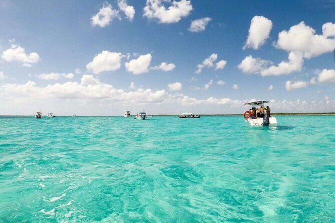 El cielo Cozumel From Cancún and round Transfer with Lunch - Price and Value: What You Pay, Then What Pops Up