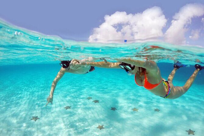 El cielo Cozumel From Cancún and round Transfer with Lunch - Who This Tour Suits Best (and Who Might Want a Different Plan)
