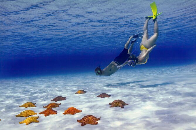 El Cielo Cozumel Snorkel Private Boat + Food + Drinks + Beach - The Reef Stops: What You’ll See and How Each One Plays
