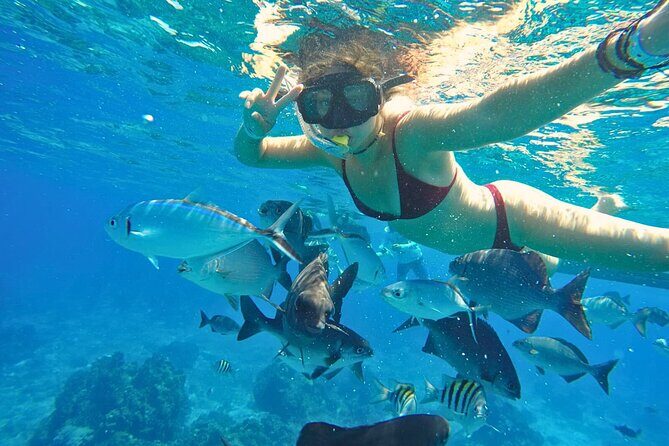 El Cielo Cozumel Snorkel Share Boat + Reefs + Food Drinks + Beach - Stop 2: Colombia Reef for More Color and More Fish