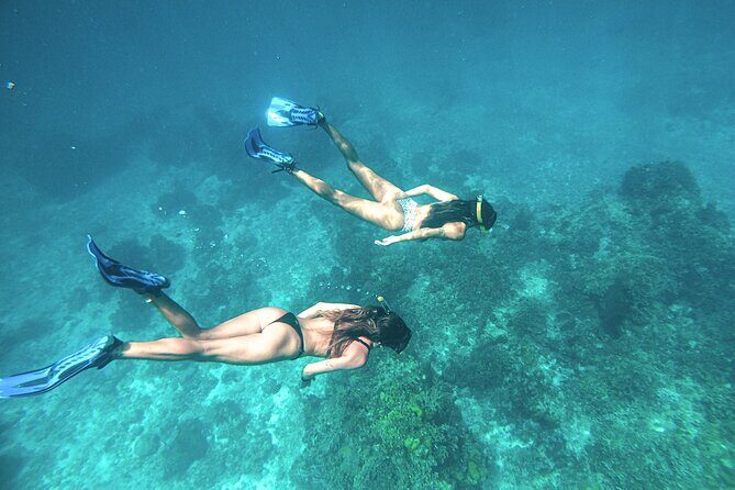 El Cielo Cozumel Snorkel Share Boat + Reefs + Food Drinks + Beach - El Cielo Cozumel: Starfish Sanctuary (Yes, It’s That Shallow)