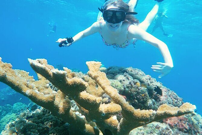 El Cielo Cozumel Snorkel Share Boat + Reefs + Food Drinks + Beach - El Cielito Cozumel Sandbar Pool and the Manta Ray Moment