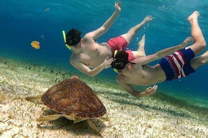 El Cielo Cozumel Snorkel tour by Catamaran - A Catamaran Snorkel Day That Feels Like More Than One Reef Stop