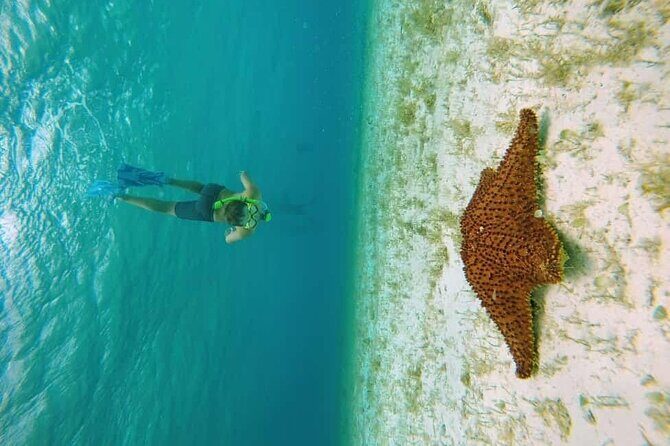 El Cielo Cozumel Snorkel tour by Catamaran - Getting to Marina Cozumel: The Place to Be, Early