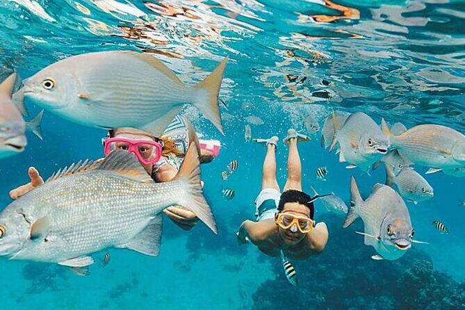 El Cielo Palancar and Columbia Snorkeling Tour - Getting there: meeting point and the boat ride reality check