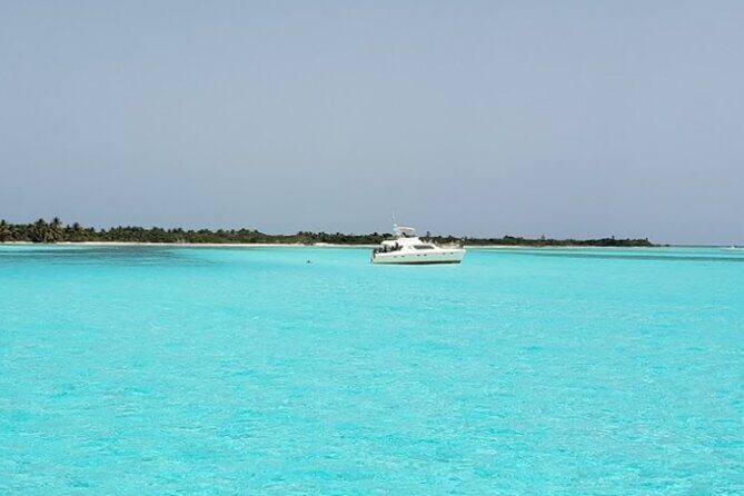 El Cielo Palancar and Columbia Snorkeling Tour - Stop 2: Columbia Reef snorkel (40 minutes and coral close to the surface)
