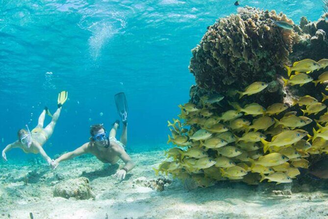 El Cielo Palancar and Columbia Snorkeling Tour - Snorkel rules in the reef zone: flotation belts, possible fin limits