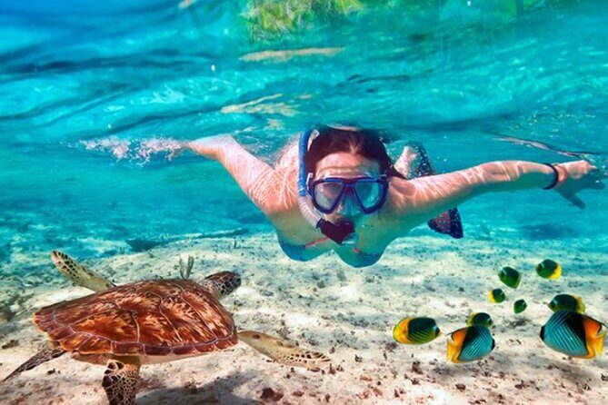 El Cielo Palancar and Columbia Snorkeling Tour - Snacks and drinks: more than just filler