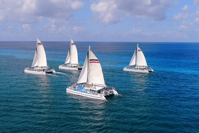 El Cielo, Palancar Snorkel & Beach Party Experience - Snorkeling El Cielo + Palancar: what “guided” changes for you