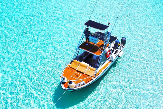 El Cielo Snorkel by Private Boat - Stop 2 at Paraiso Reef: why the second reef stop is where the day keeps paying off